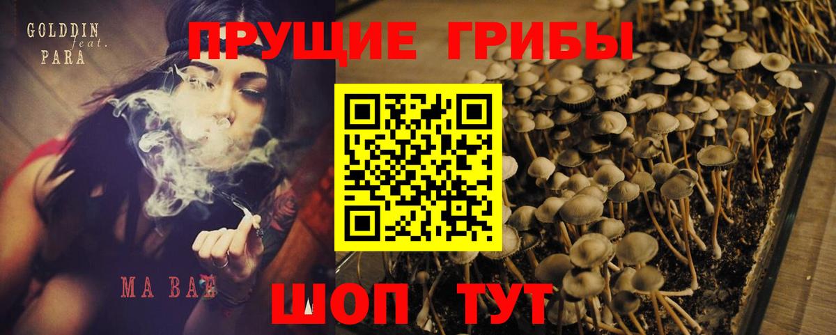 Галлюциногенные грибы прущие грибы  Псилоцибиновые грибы Cubensis  Нижний Новгород  Вход с VPN 